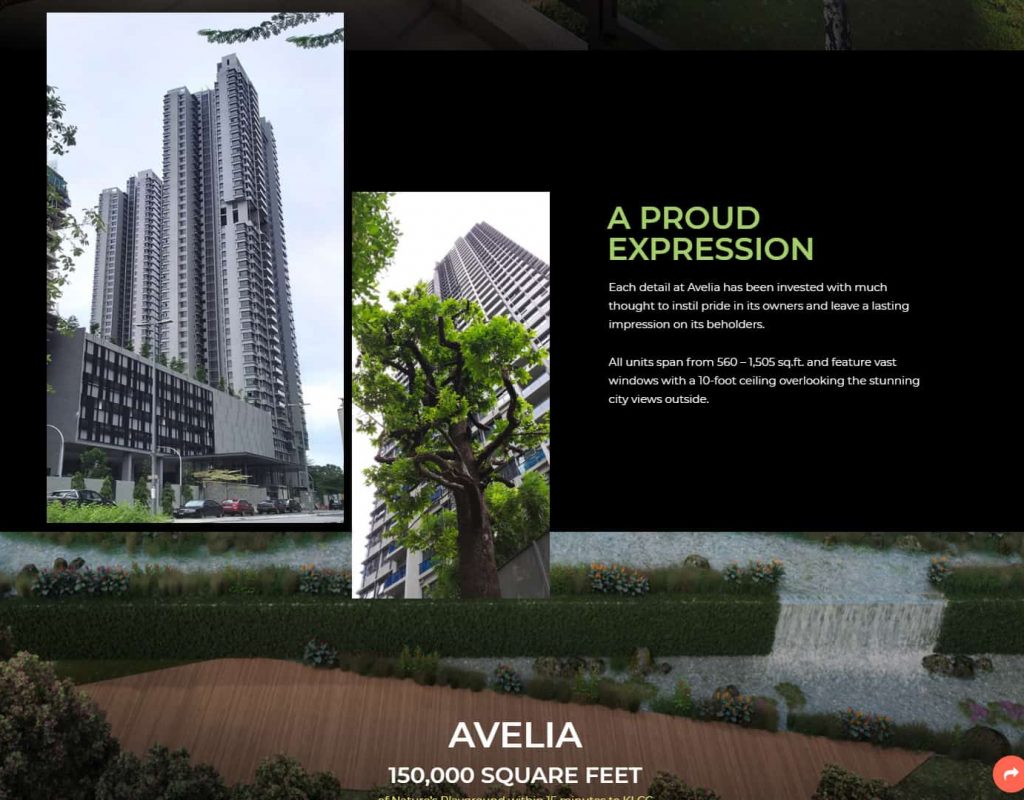 avelia-2